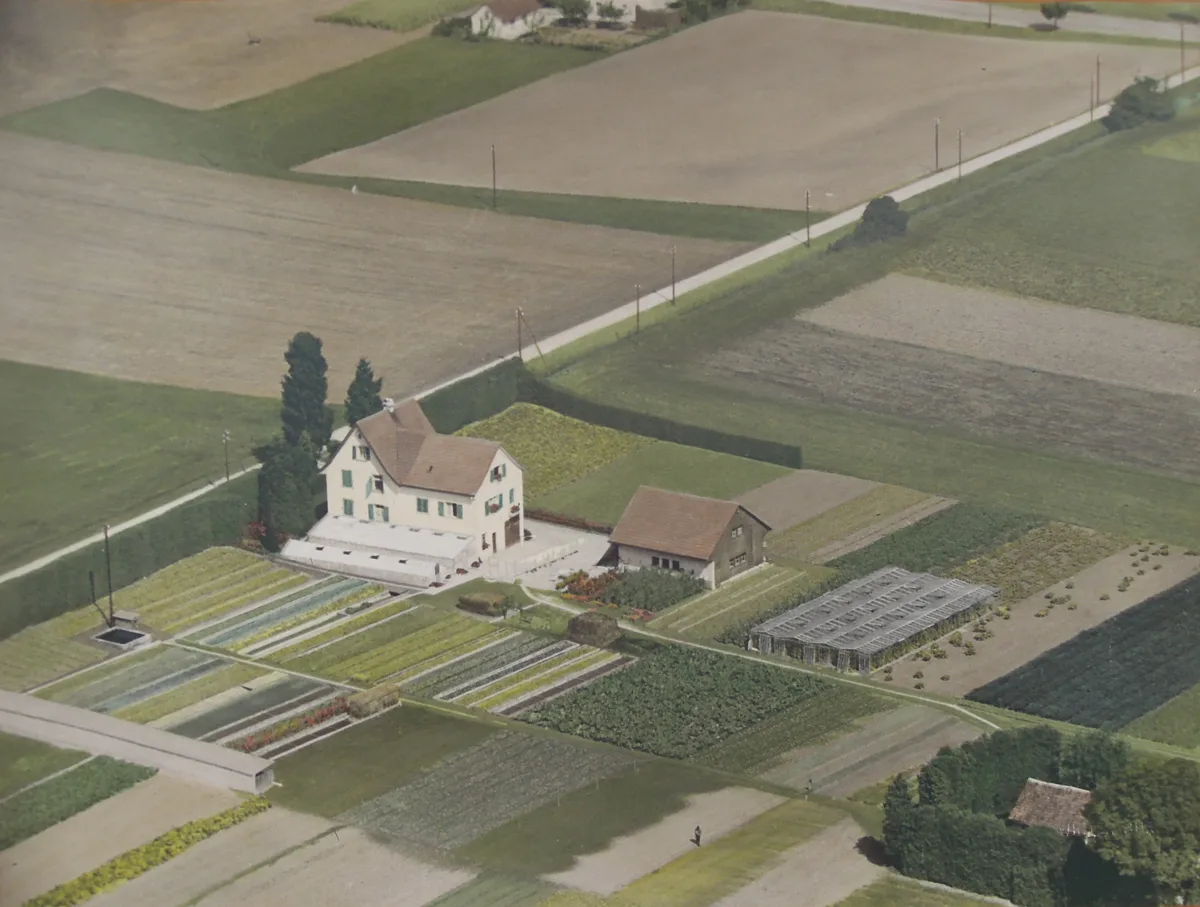Gemüsebeete, Gewächshaus und rundherum viel Grün: Luftaufnahme der Gärtnerei Kohler aus dem Jahr 1954.  Eine Luftaufnahme von einer Gärtnerei.
